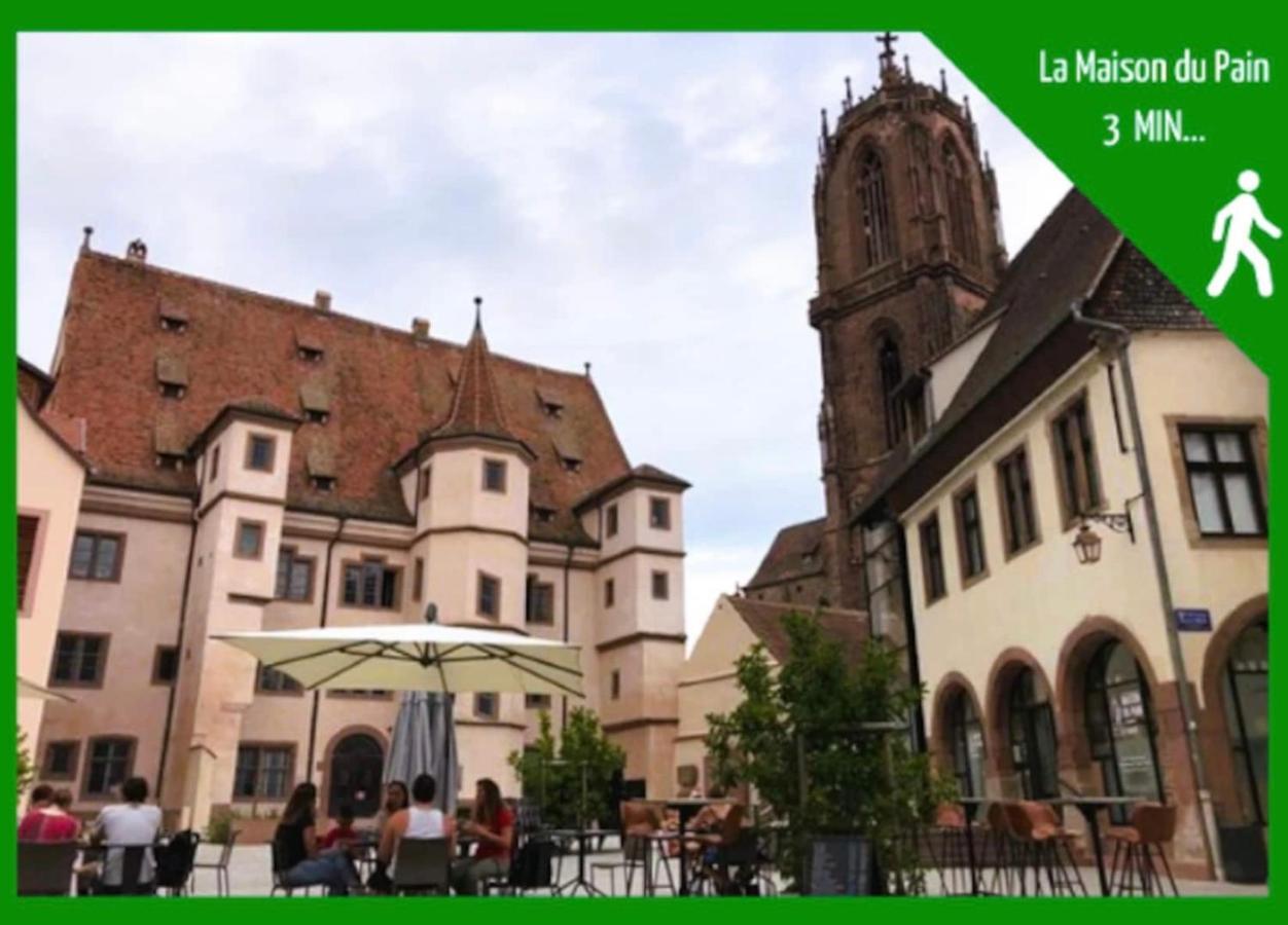 La Parenthese Alsacienne Au Coeur De Selestat Apartment Bagian luar foto
