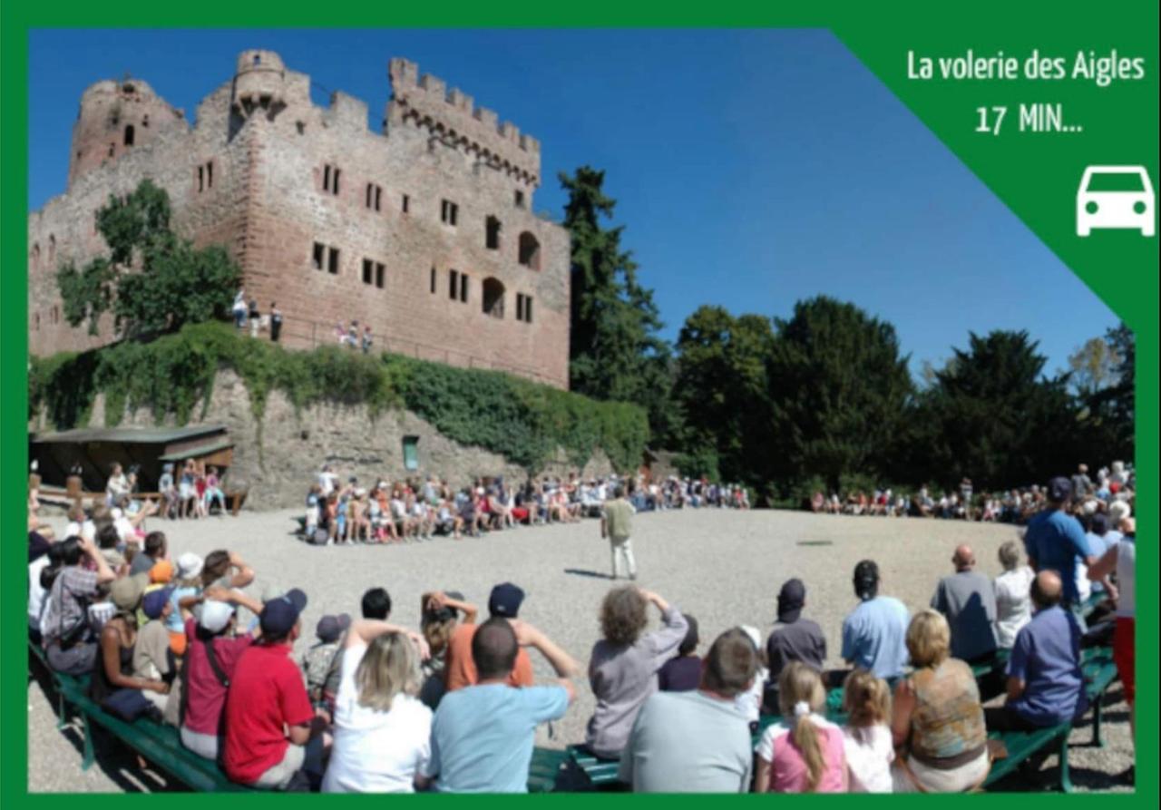 La Parenthese Alsacienne Au Coeur De Selestat Apartment Bagian luar foto
