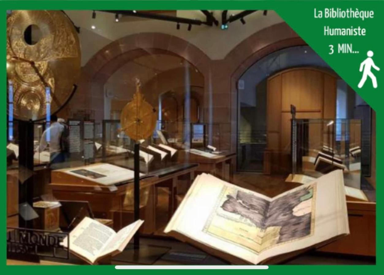 La Parenthese Alsacienne Au Coeur De Selestat Apartment Bagian luar foto